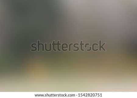 Abstract blurred forest autumn forest slide background