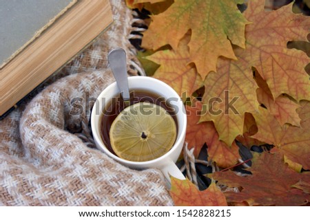 A cup of hot tea. Autumn. Mood.
