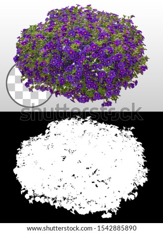 Cut out flowers. Blue flowers isolated on transparent background via an alpha channel. Hanging flowers basket. Flower bed for garden design or landscaping. High quality clipping mask.