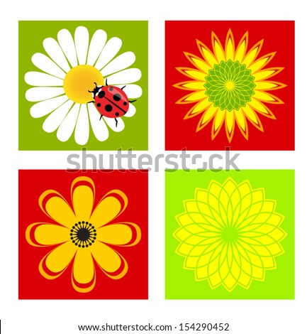 Flowers set with different colors vector