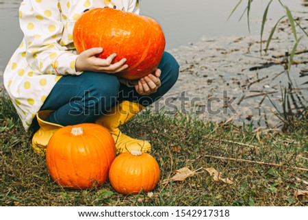 children's hands holding a pumpkin on the background of autumn forest and lake