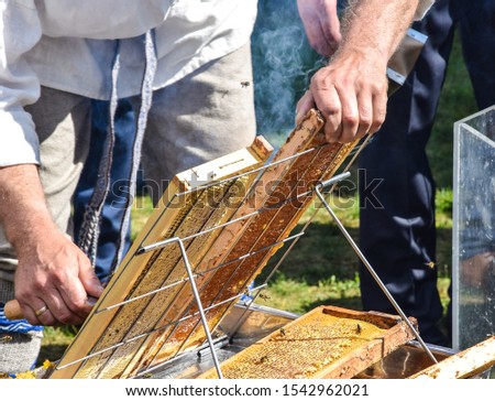 Honeycombs being opened for extracting honey in a traditional way. Picture taken in Lithuania. 