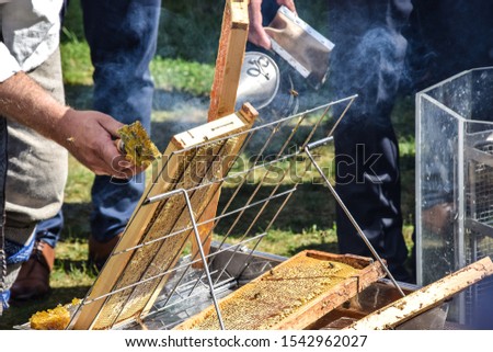 Honeycombs being opened for extracting honey in a traditional way. Picture taken in Lithuania. 