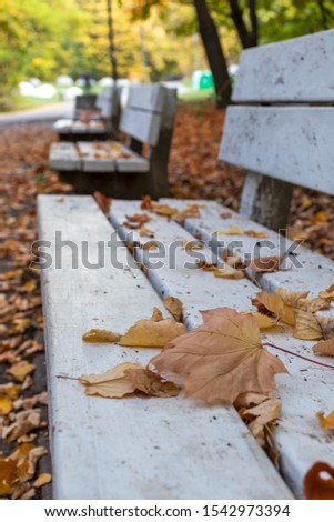 Empty Bench at the park with autumn leaves on it in South Park, Sofia, Bulgaria