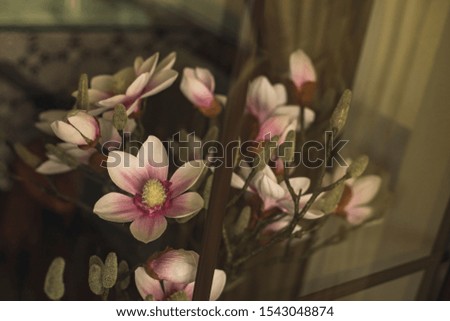 vintage soft colors style picture of synthetic flowers interior decoration object 