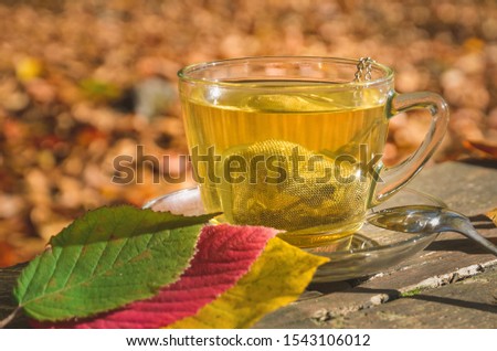 Interesting idea for an autumn drink. Tea with turmeric in the autumn forest.
