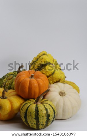 Various kinds of toy pumpkins