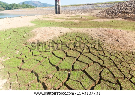 The background of the surface is cracked in dry soil in the summer.