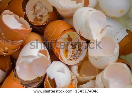 eggshell, many broken eggshell, eggshell background