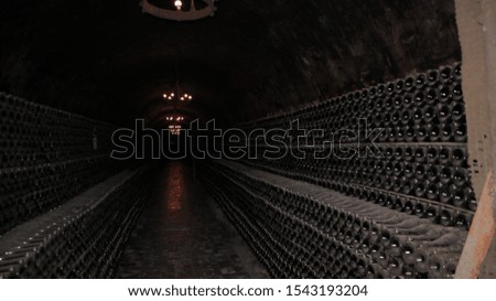 Old dusty bottles in the wine cellar