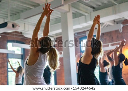 Healthy women are seen from behind in an upward salute urdhva hastasana pose during a workshop dedicated to 108 rounds of sun salutations surya namaskar. Royalty-Free Stock Photo #1543244642