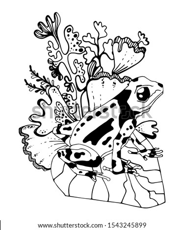 Wetland landscape with animals coloring book for adults vector illustration. Anti-stress for adult. Black and white lines insect, frog, cane, dragonfly, water, water Lace nature