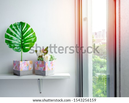 Modern painted concrete planters with green palm leaf and flowers on white shelf near the window glass.