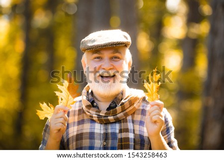 Maple leaf on hiking trail in park. Elderly man smiling outdoors in nature. Healthy active senior man holding a. Portrait of senior man in the autumn park