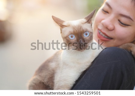 Asian women playing with cats in the garden with sunset. Asian beautiful girls playing with siamese cat.