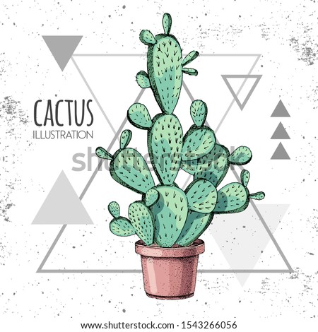 Hand drawing cactus vector illustration on grunge triangle background