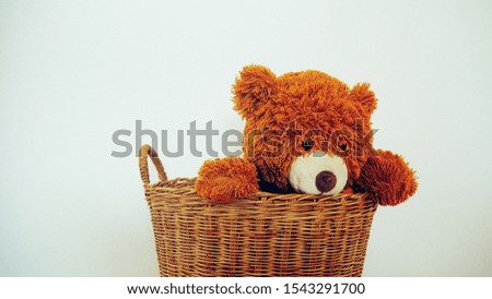 Teddy bear plying in basket 