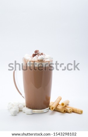 Hot chocolate and warming cocoa with marshmallow and waffle tubes, chocolate and marshmallows in a beautiful mug with a traditional ornament.Pictures for the menu of bar and restaurant.Autumn drinks