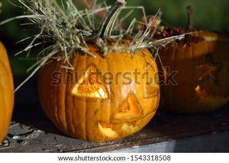 Carved Pumpkins for Halloween in autumn