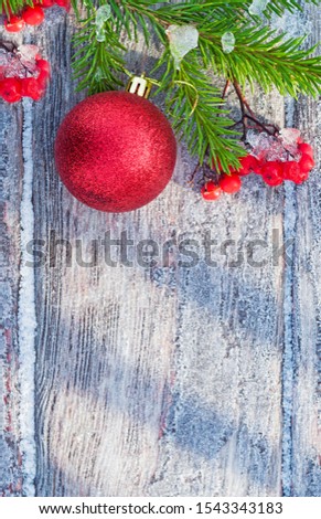 Christmas and new year composition of a green spruce branch, decorated with a red ball and Rowan berries on the background of snow, frost,  copy  space