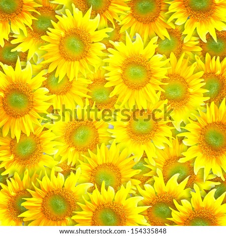 sun flowers tiles background.