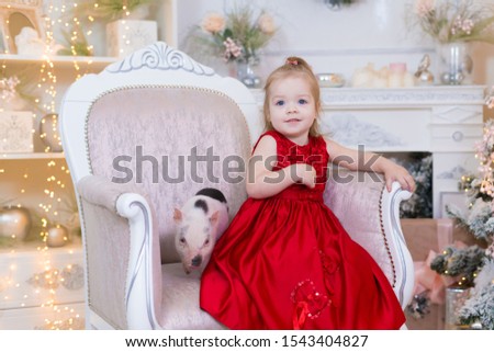 Beautiful little blonde baby girl, has happy fun face, blue eyes, red dress, embrace mini pig. Portrait holiday Christmas. Winter family animal. Kids fashion style. 