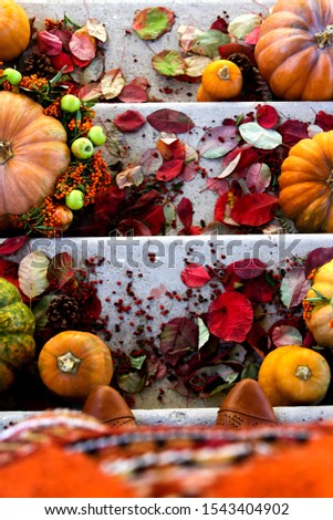 
focuAutumn still life, Autumn still life of pumpkins, burning candles, autumn leaves for Halloween, composition of pumpkin, candles, red bright leaves, bright berries, autumn bright colors, selective