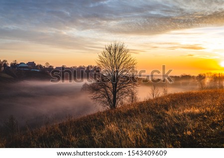 Autumn tree without leaves in the center of the frame at dawn. Beautiful autumn dawn. Royalty-Free Stock Photo #1543409609