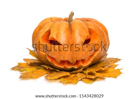 Halloween pumpkin. Halloween pumpkin head jack lantern isolated on white background.