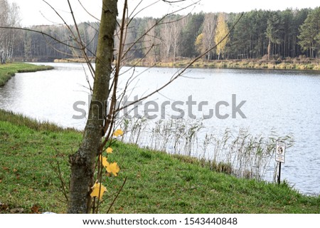 Photo of the river, water pier. Autumn park on the shore. Image of nature, forest, landscape.