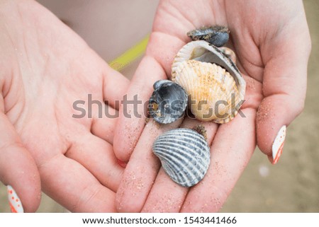 A lot of shells in the hand