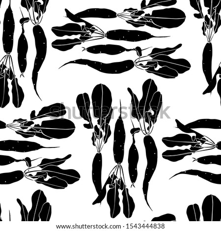 Vector seamless pattern with hand drawn White Icicle radish made in linocut style. Beautiful food design elements, ink drawing. Perfect for prints and patterns Royalty-Free Stock Photo #1543444838