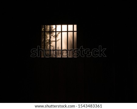 Silhouette of a donkey behind the bars of a stable with a ray of sun coming through the bars and creating a big contrast of lights and shadows.Claro-oscuro. High Contrast Image. Salamanca, Spain