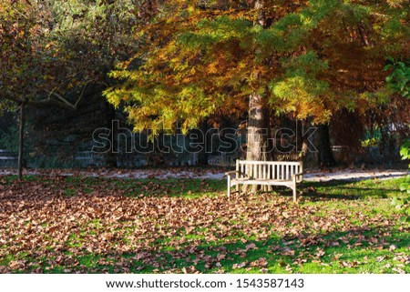 Bench - Place to rest in arboretum