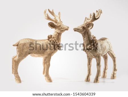 Two Goldon Red deer, reindeer, christmas picture, isolated on white background, decoration, postcard, wall paper