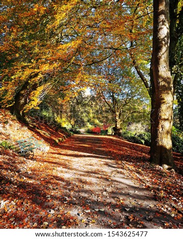 Autumn colours in Avenham and Miller Park, Preston, Lancashire 