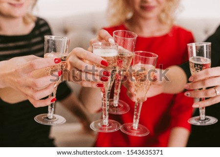 Celebration. Hands holding the glasses of champagne and wine making a toast. The party, wedding, celebration, alcohol, lifestyle, friendship, holiday, christmas, new, year and clinking concept.