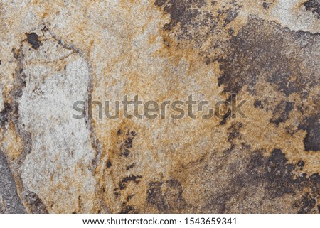 Texture with rock and brown tones.