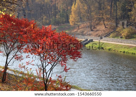 Red leaves of autumn trees in a park on a lake background.