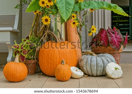 Display of Autumn vegetables and flowers to suggest the end of the summer season.