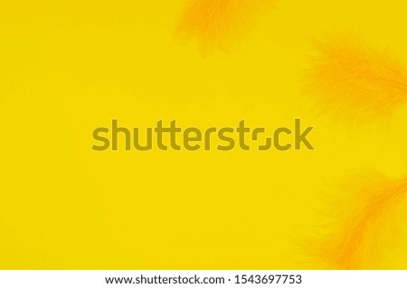 Top view Frame mockup of yellow feathers on a same color background with copy-space for your text