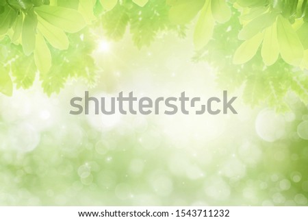 Concept relaxation and natural healing,close-up light green leaves and sunlight,blurred backgrounds,beautiful nature bokeh in park,copy space for text input,use backdrop decorate website or wallpaper