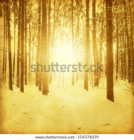 Winter forest at sunset in grunge and retro style.