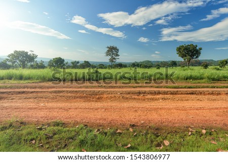 Dirt roadside view with the meadow Royalty-Free Stock Photo #1543806977