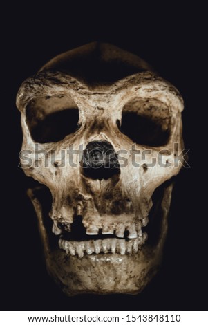 Dark skull isolated on a black background.