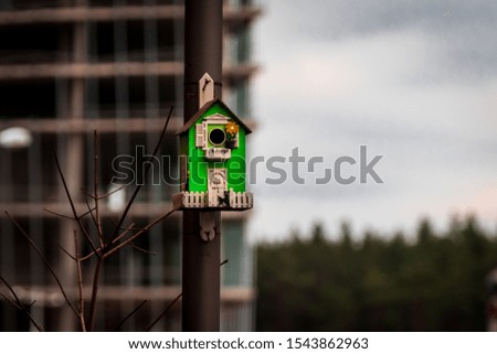 Green Birdhouse in the yard