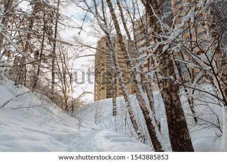High-rise buildings through the snowy winter forest.