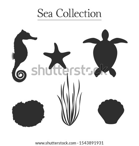 Vector silhouettes of seahorse, sea turtle, algae, mollusc shell, sponge and starfish. Isolated set of 6 objects on white background. Fully editable sea icons collection for your own projects.