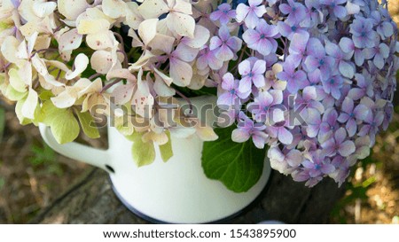 Bouquet of hydrangeas in white metal teapot