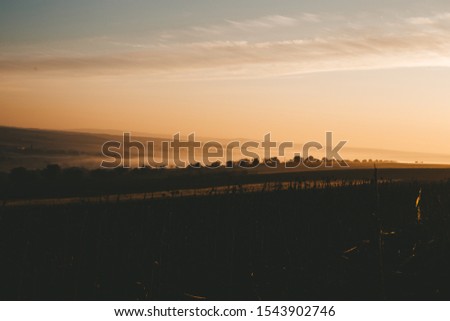 A landscape of autumn in the morning at sunrise with a lot of fog
